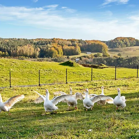 1 Bedroom Stunning In Apartamento *