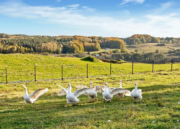 1 Bedroom Stunning In Apartamento *